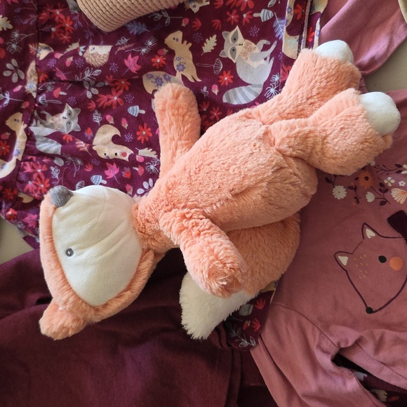 🌈10 Pc. Baby Girl Clothing Bundle With Fox Stuffie as A Free Gift! #305 - Picture 3 of 3